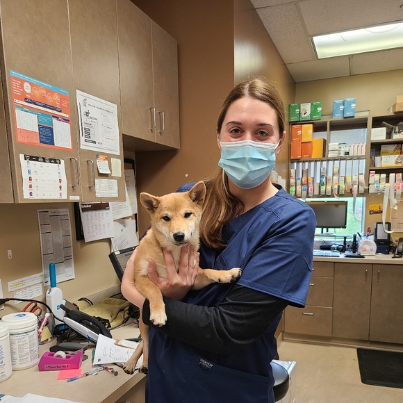 Meet your Posher, Chelly - Picture 4 of 10